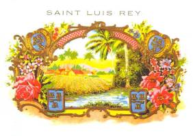 Saint Luis Rey logo
