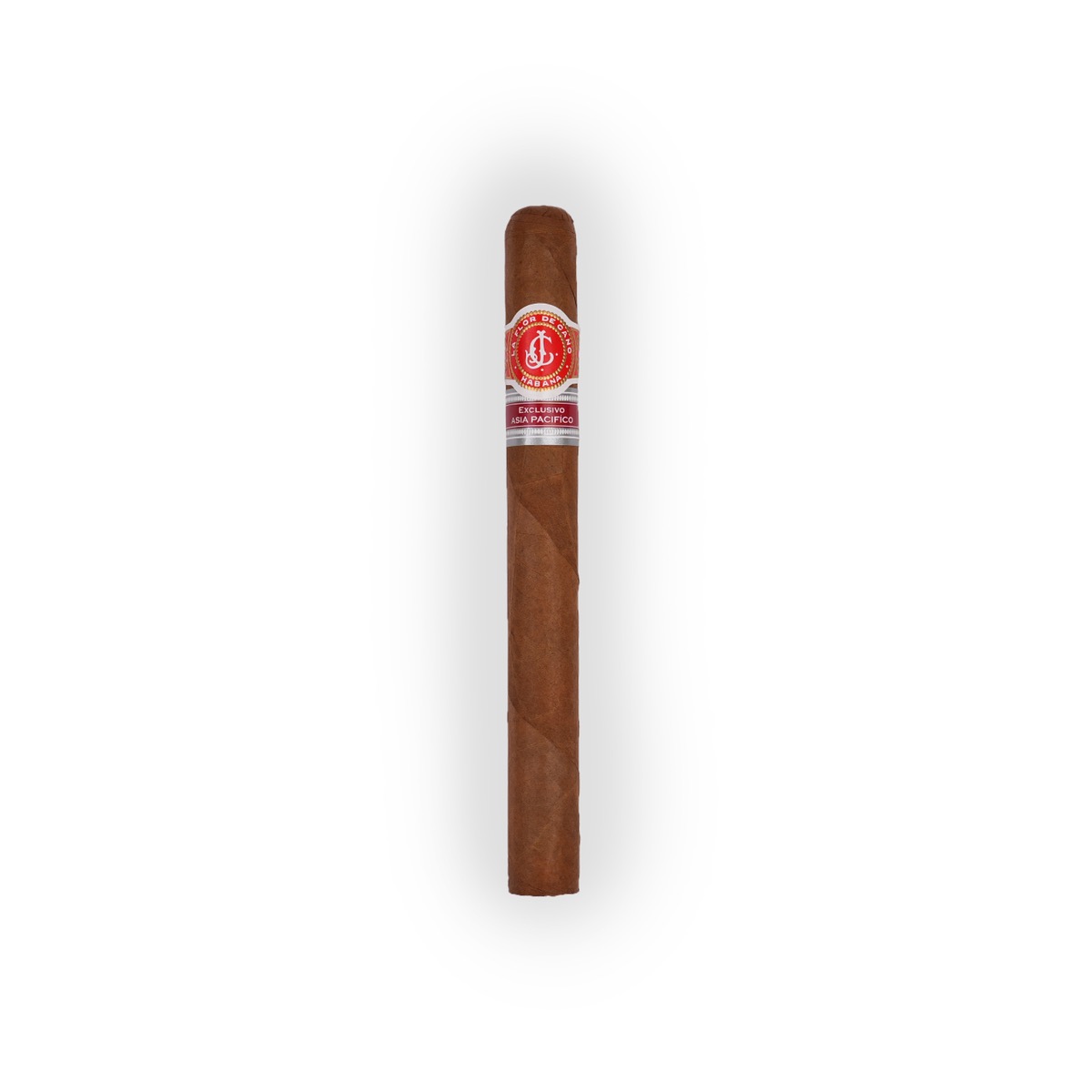 La Flor de Cano Diademas